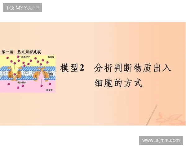 杭州网球队的深度分析与控制策略探讨 杭州网球队的深度分析与控制策略探讨