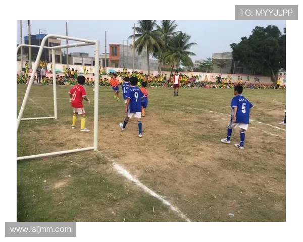 重庆足球队心理素质分析及其对联赛表现的影响探讨