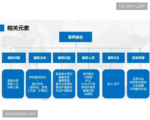 南京排球队运营革新探索:从传统到现代的转型之路与发展策略 南京排球队运营革新探索:从传统到现代的转型之路与发展策略
