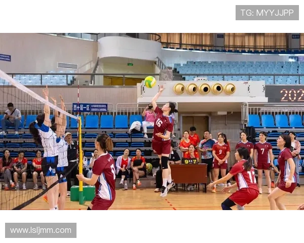 杭州排球队在世界锦标赛中的团队协作表现分析与点评