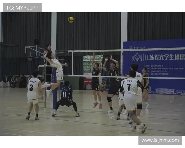 武汉排球队的奋斗与荣耀：一部排球精神的真实纪实之旅